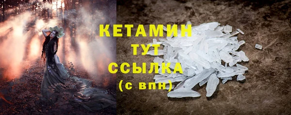прущие грибы Аркадак