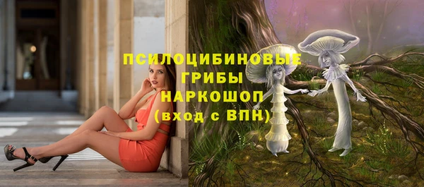стаф Балахна